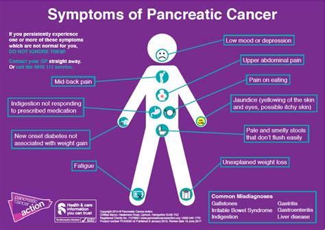 Pancreas: Symptoms Of Pancreas