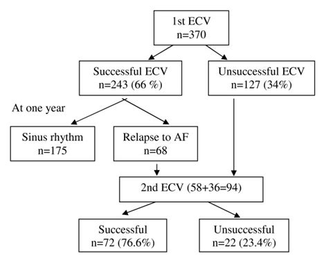 Results of serial electrical cardioversion in atrial fibrillation and... | Download Scientific ...