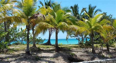 Nassau Bahamas Honeymoon. Unbelievably beautiful | Bahamas honeymoon, Nassau bahamas, Bahamas