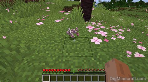 How to make Pink Petals in Minecraft