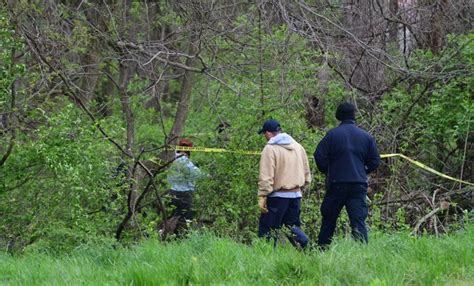 Man foraging for mushrooms in McCordsville finds human remains - Indianapolis News | Indiana ...