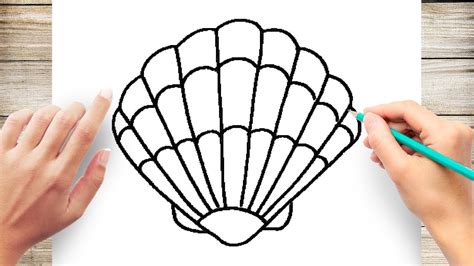 How to Draw a Seashell Step by Step - YouTube