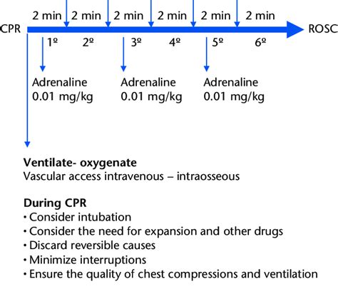 Algorithm of advanced cardiopulmonary resuscitation (CPR) in ...