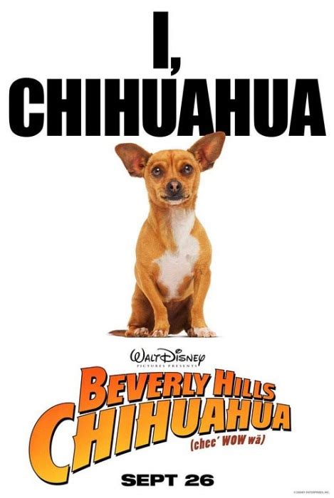 Beverly Hills Chihuahua (2008)* - Whats After The Credits? | The Definitive After Credits Film ...