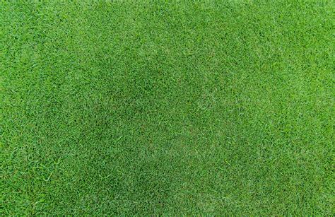 Green grass texture background. Golf course grass. Top view of green ...