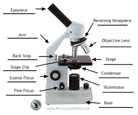 Science Teaching Resources, Science Tools, Science Units, Science Curriculum, Teaching Biology ...