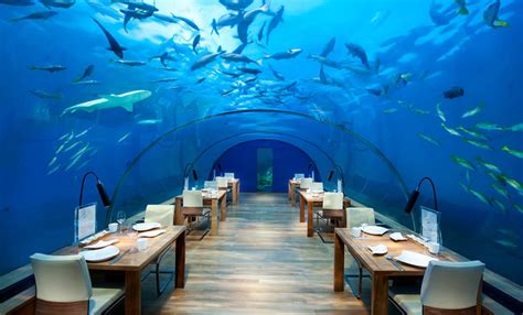 Did You Know about This Underwater Hotel in Maldives? |MakeMyTripBlog