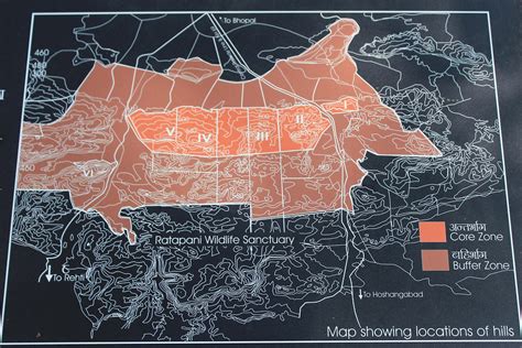 Bhimbetka: A glimpse into the earliest traces of human life on the Indian subcontinent