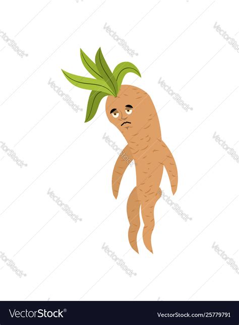 Mandrake root sad sorrowful legendary mystical Vector Image