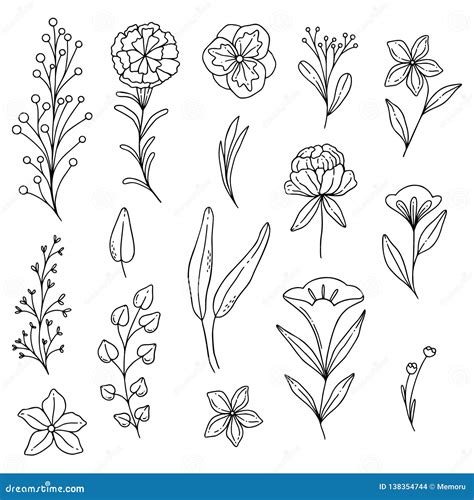 Illustrated Doodle Flowers, Organic Lines and Shapes, Floral Design ...