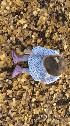 Autumn Leaves GIF - Autumn Leaves Cute - Discover & Share GIFs