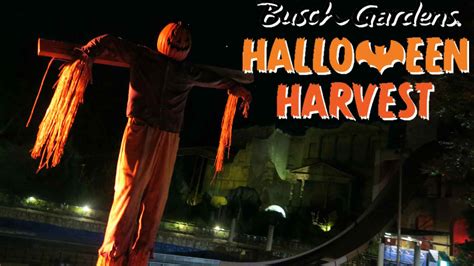 We visit BUSCH GARDENS WILLIAMSBURG HALLOWEEN HARVEST! – IoMGeek