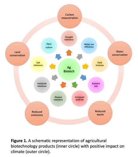 Agricultural Biotechnology: A Vital Tool to Address Food Security and ...