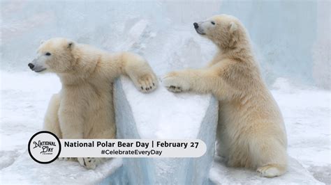 FEBRUARY 27, 2024 | NATIONAL POLAR BEAR DAY | NATIONAL RETRO DAY | NATIONAL KAHLUA DAY ...