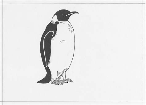 How To Draw A Realistic Penguin » Tradefashion