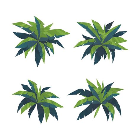 Top view palm leaves tree isolated on white background 4867196 Vector ...