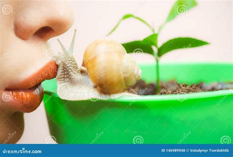 Healing Mucus. Having Fun with Adorable Snail. Spa and Wellness ...