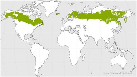 Biomes Map of the World