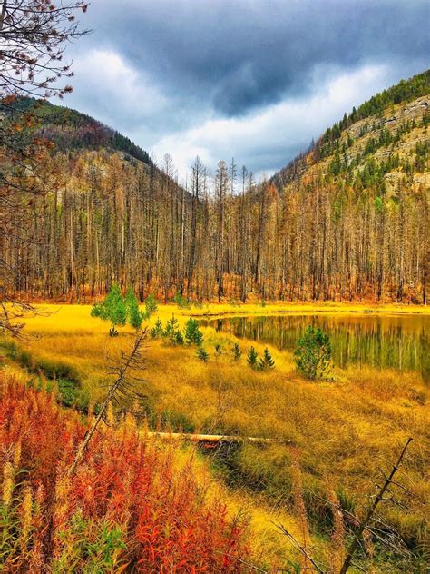 Photos of Morrell Falls National Recreation Trail - Montana | AllTrails