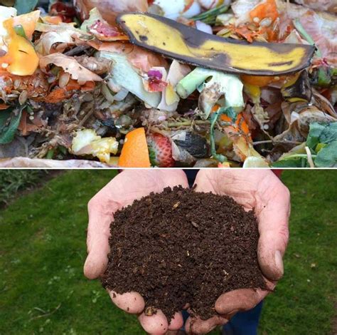 How to Make Compost from Kitchen Waste/Scraps | Gardening Tips