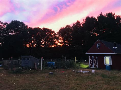 Sunset on the farm. | Sunset, Outdoor, Farm