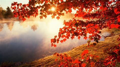 1920x1080 autumn desktop backgrounds JPG 633 kB, HD Wallpaper | Rare Gallery