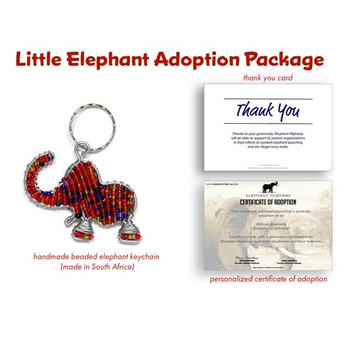 Little Elephant Adoption Package