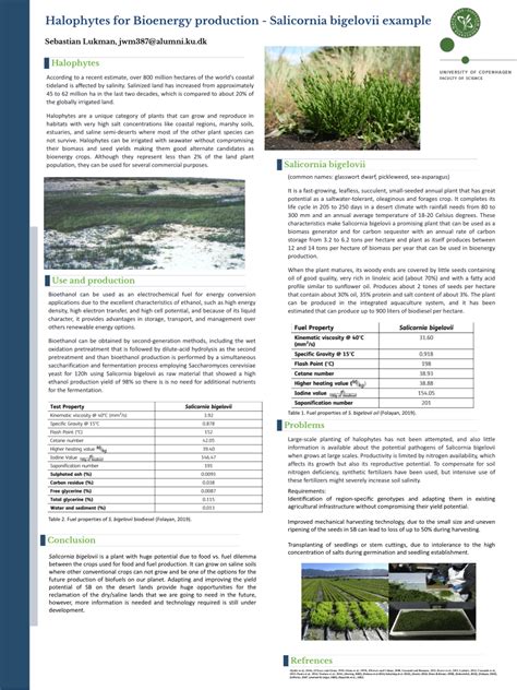 (PDF) Halophytes for Bioenergy production -Salicornia bigelovii example Halophytes Use and ...