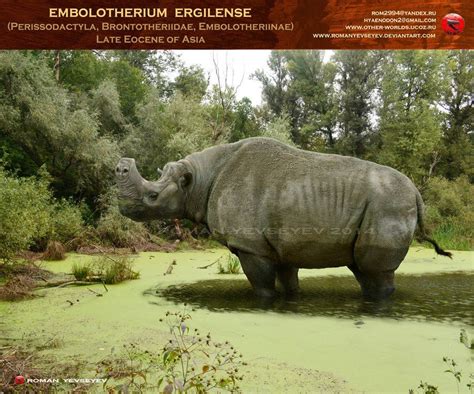 Embolotherium ergilense by RomanYevseyev on DeviantArt | Ancient ...