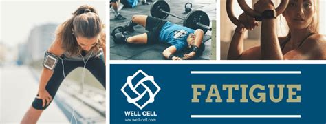 Eliminate fatigue with nutrition – Well Cell