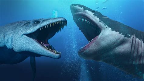 Megalodon Shark Wallpapers - Top Free Megalodon Shark Backgrounds - WallpaperAccess