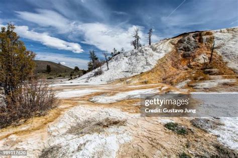 270 Mammoth Hot Springs Winter Stock Photos, High-Res Pictures, and Images - Getty Images