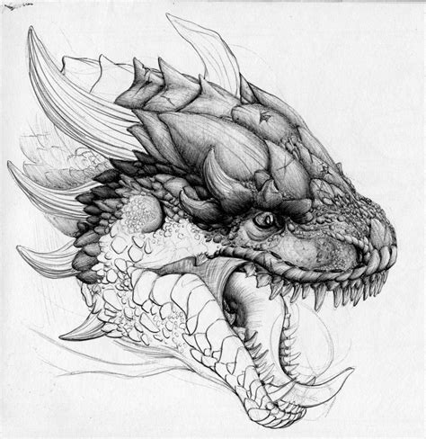 Dragon Head Pencil Drawings
