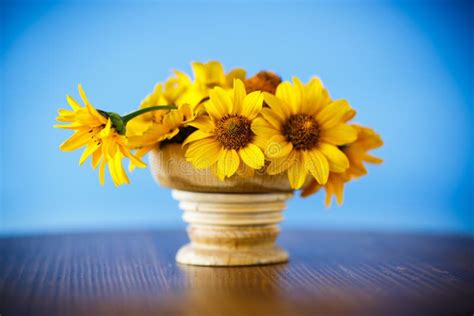 Bouquet of Yellow Big Daisies Stock Photo - Image of detail, bunch: 119885176