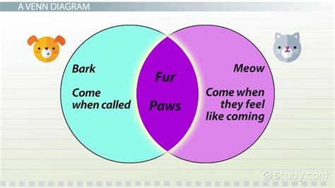 Using Venn Diagrams to Show Conjunctions & Disjunctions - Lesson | Study.com