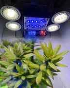 LED bulbs - which of them is the most powerful i can find in stores? - The Ethnobotanical Garden ...