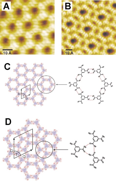 (A,B) STM images of trimesic acid on graphite under UHV conditions. (A,... | Download Scientific ...