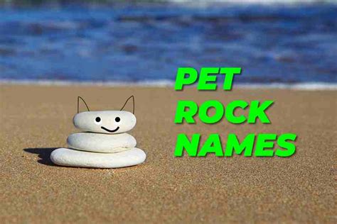 150 Pet Rock Names: The Art Of Choosing The Perfect Name