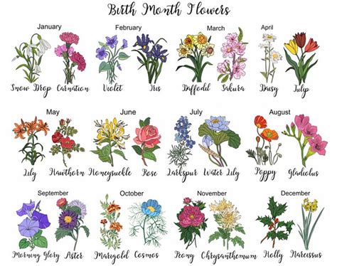 Birth Month Flowers: What Is My Birth Flower?, 44% OFF