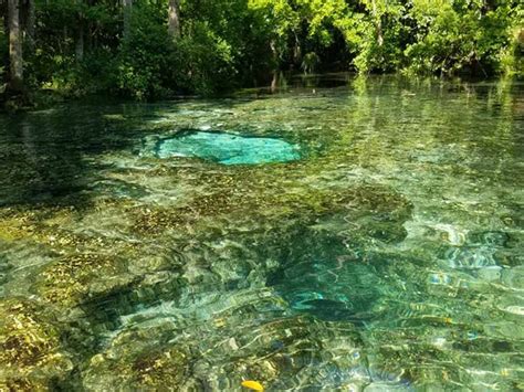 Chassahowitzka River Campground | Homosassa, FL - RV Parks and ...