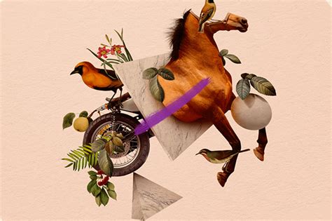 Caballo Bayo on Behance