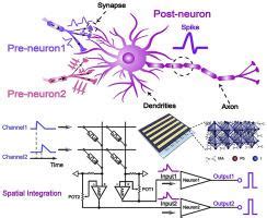 Leaky integrate-and-fire neurons based on perovskite memristor for ...