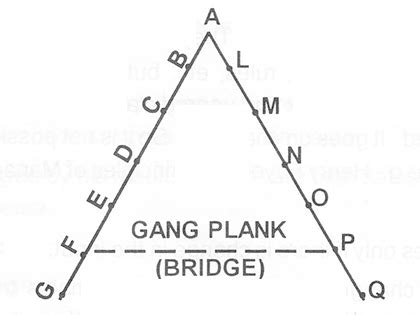 wat s scalar chain explain with a diagram Business Studies Principles ...