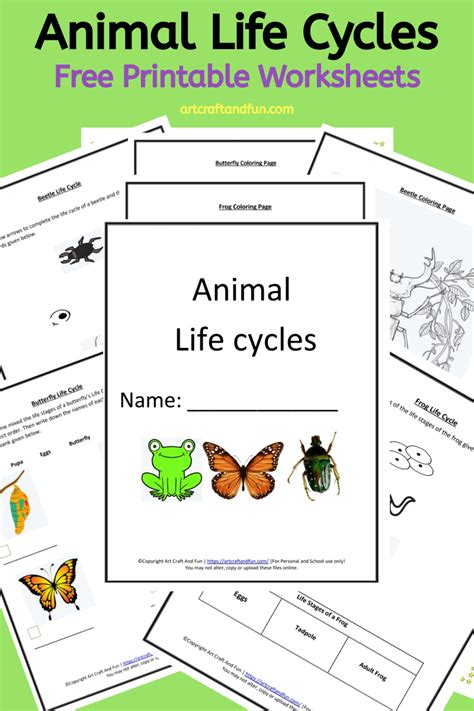 Free Printable Animal Life Cycle Worksheets - | Colorin