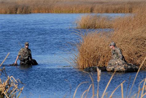 Free picture: hunters, wade, wetlands, hunting, waterfowl