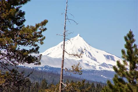 Oregon Cactus Blog: Snow-capped Peaks of the Oregon Cascades