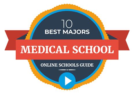 10 Best Majors for Med School Admissions with Online Degrees