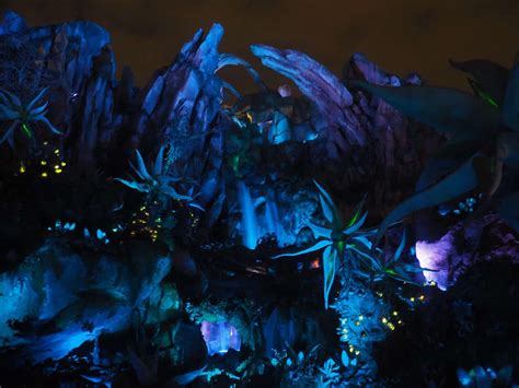 Visiting Pandora World of Avatar at Night