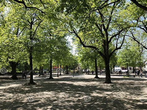 Lindenhof - History-steeped Oasis in the Heart of the City of Zurich Stock Photo - Image of ...