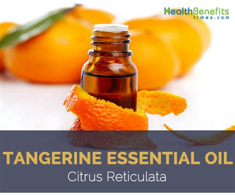 Tangerine essential oil facts and health benefits